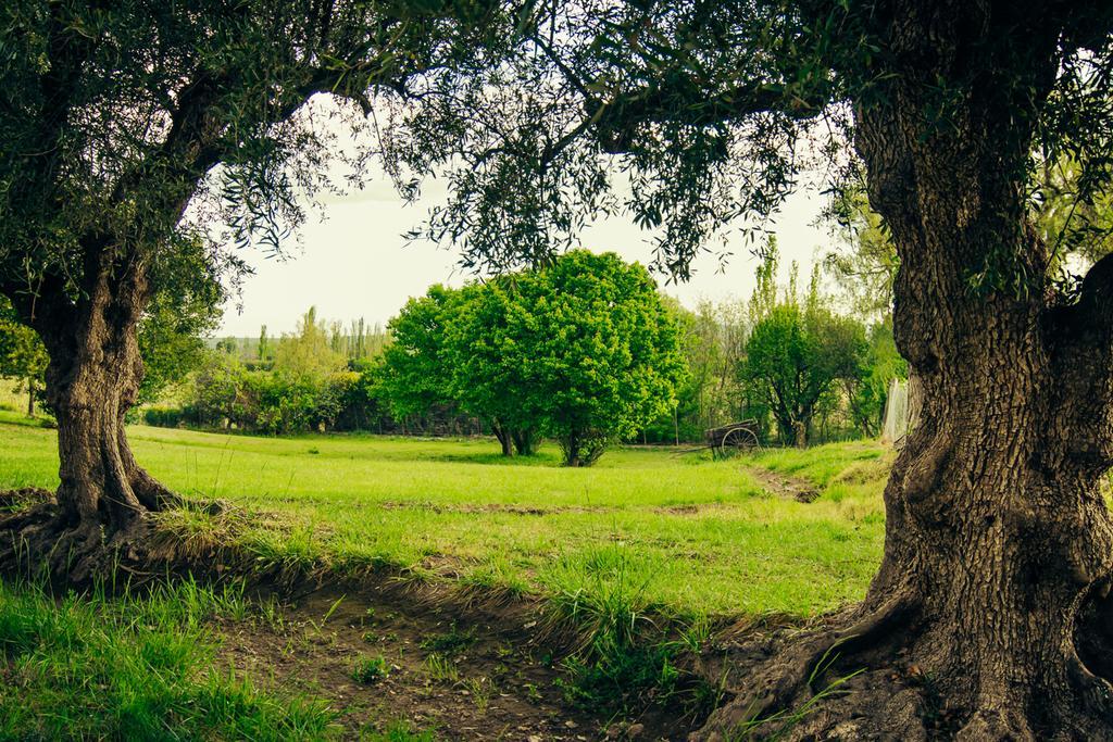 Finca La Encantada San Rafael  Eksteriør billede